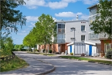 Image missing alt text